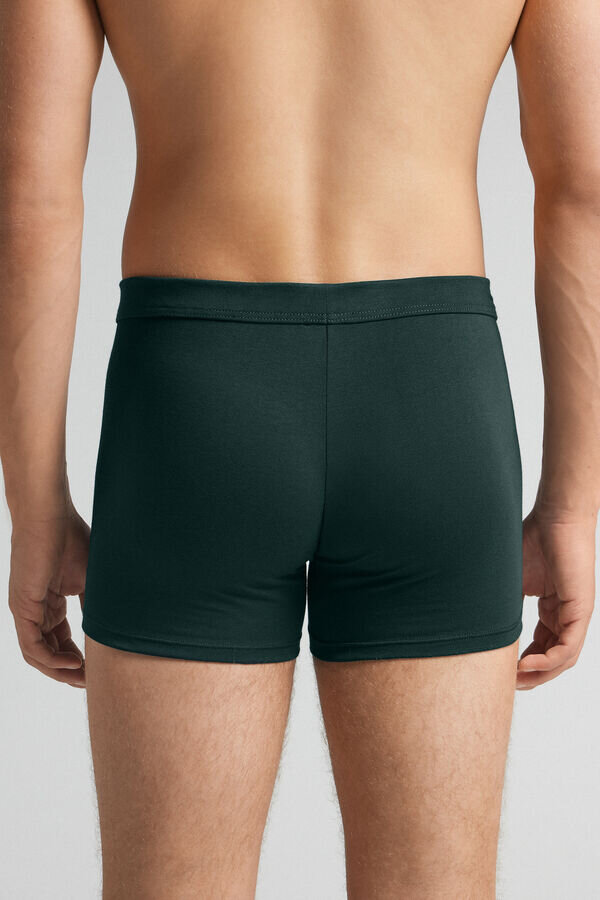 De oförstörbara boxershortsen i överlägsen bomull De oförstörbara boxershortsen i överlägsen bomull