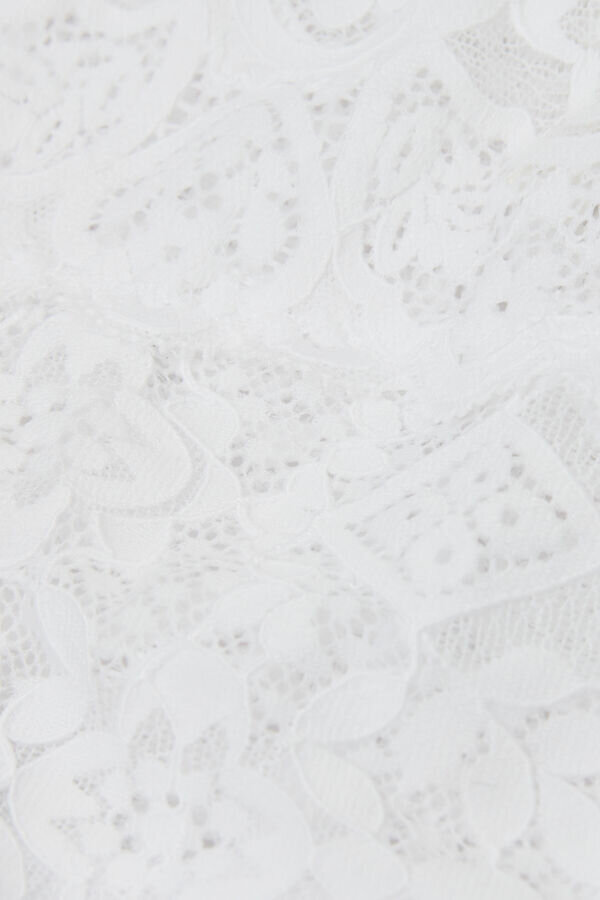 SpetsBrazilian SpetsBrazilian